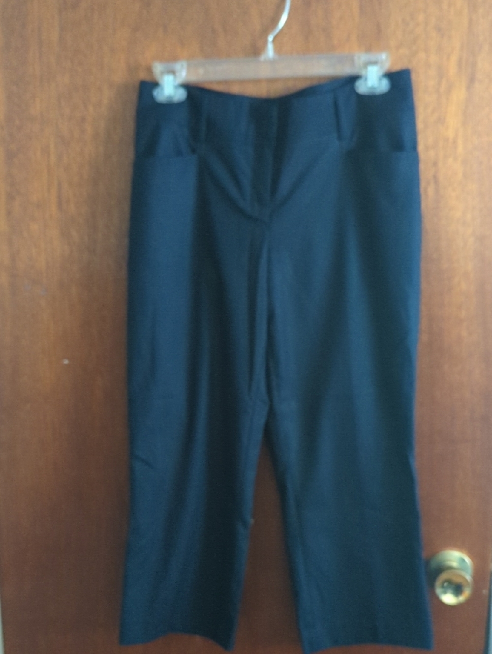 Express Navy Capri Dress Pants Size 4